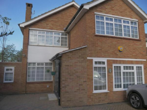 Modern house in greater London
